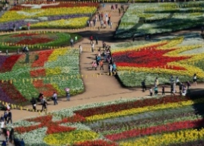 Floriade